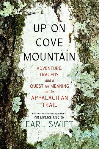 Cover image for Up on Cove Mountain