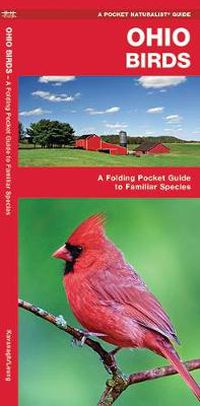Cover image for Ohio Birds: A Folding Pocket Guide to Familiar Species