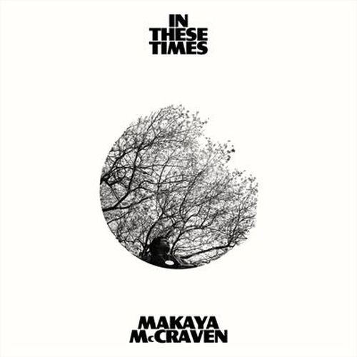 Cover image for In These Times