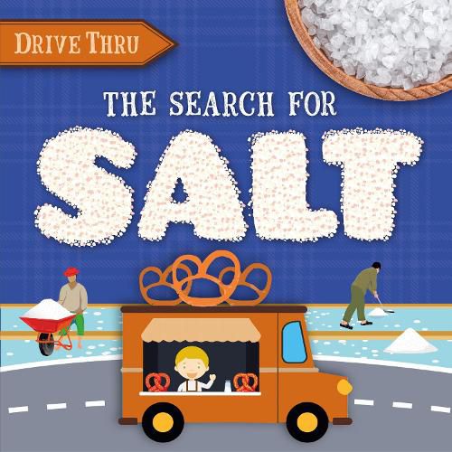 Cover image for The Search for Salt