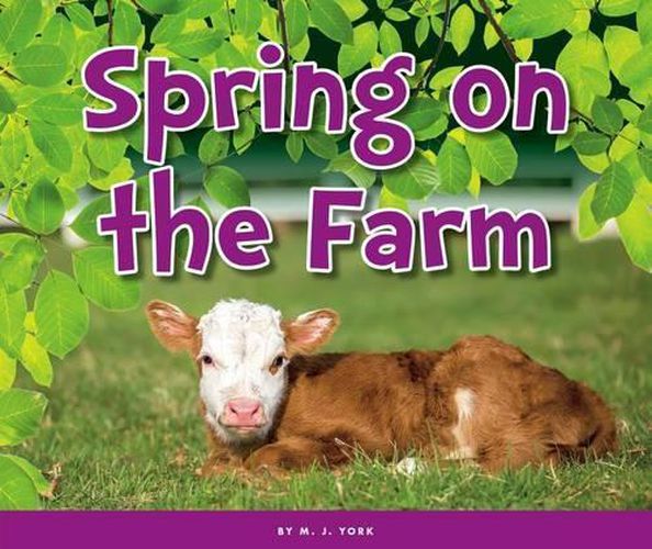 Cover image for Spring on the Farm