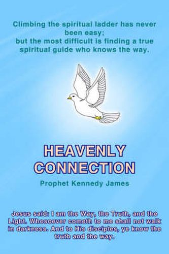 Cover image for Heavenly Connection