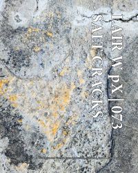 Cover image for LAIR W pX 073 Salt Cracks