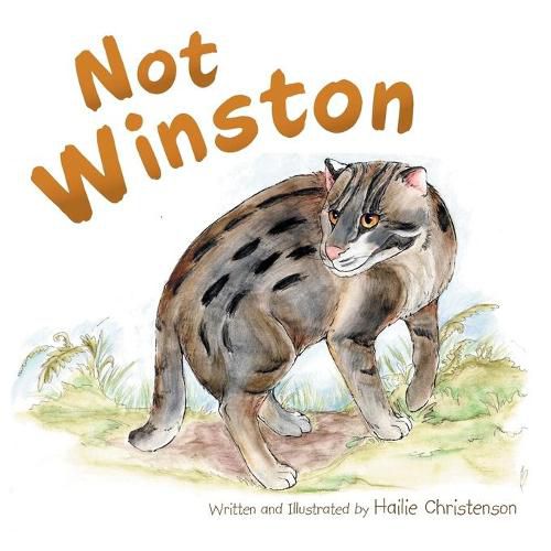 Cover image for Not Winston