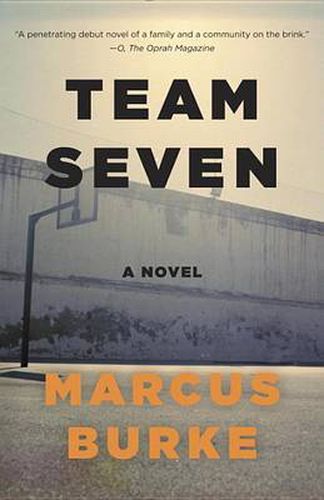 Cover image for Team Seven