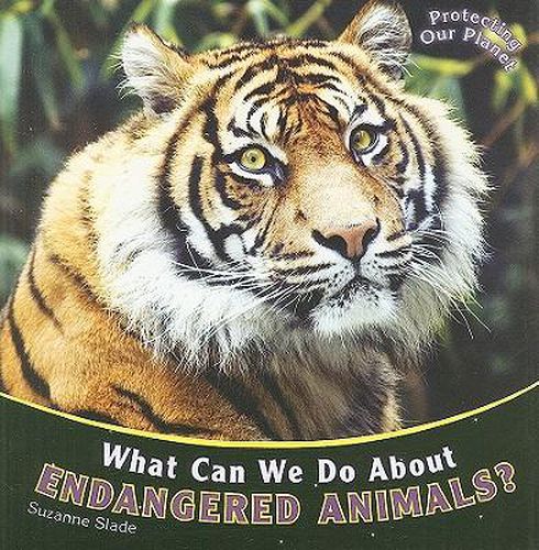 What Can We Do about Endangered Animals?