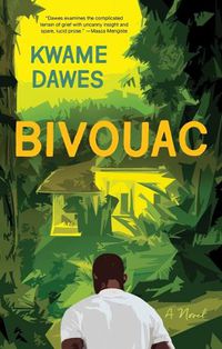 Cover image for Bivouac: A Novel