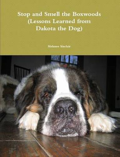 Cover image for Stop and Smell the Boxwoods (Lessons Learned from Dakota the Dog)