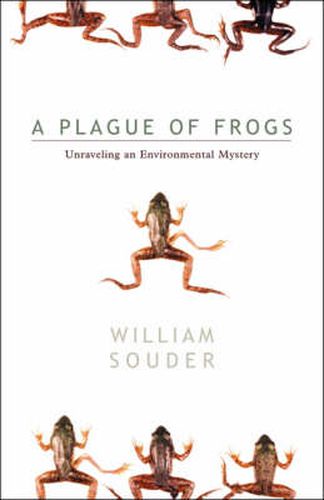 Plague Of Frogs: Unraveling An Environmental Mystery