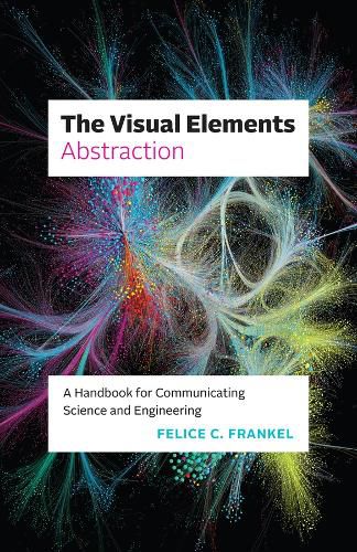 Cover image for The Visual Elements-Abstraction