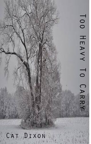 Cover image for Too Heavy to Carry