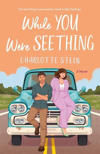 Cover image for While You Were Seething