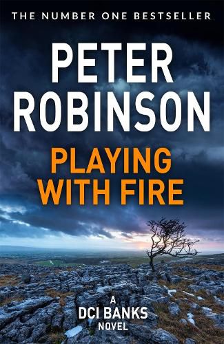 Cover image for Playing With Fire