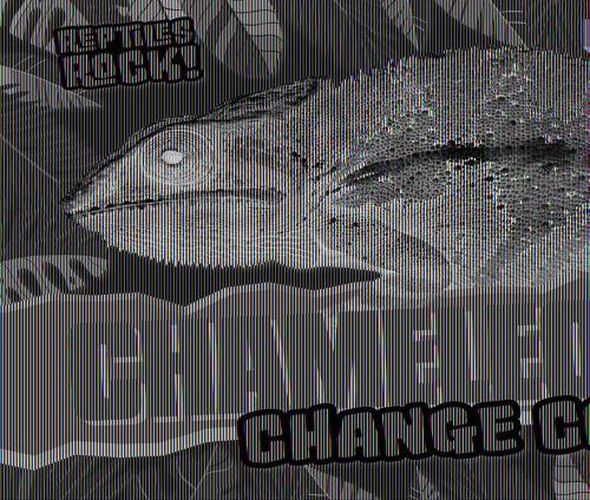 Cover image for Chameleons Change Color!