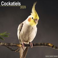 Cover image for Cockatiels Calendar 2025 Square Bird Wall Calendar - 16 Month