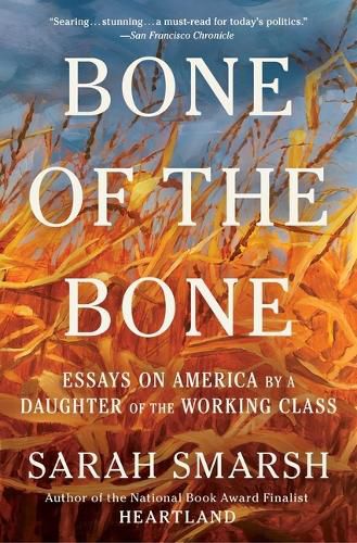 Cover image for Bone of the Bone