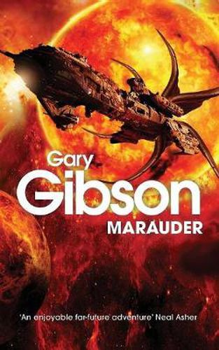 Cover image for Marauder