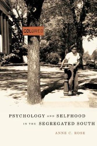 Cover image for Psychology and Selfhood in the Segregated South