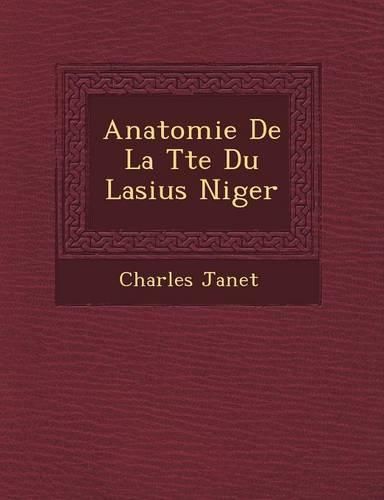 Cover image for Anatomie de La T Te Du Lasius Niger