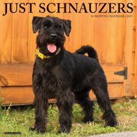 Cover image for Just Schnauzers 2025 12 X 12 Wall Calendar