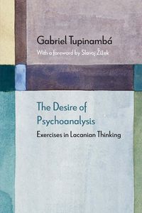 Cover image for The Desire of Psychoanalysis: Exercises in Lacanian Thinking