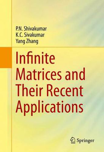 Cover image for Infinite Matrices and Their Recent Applications