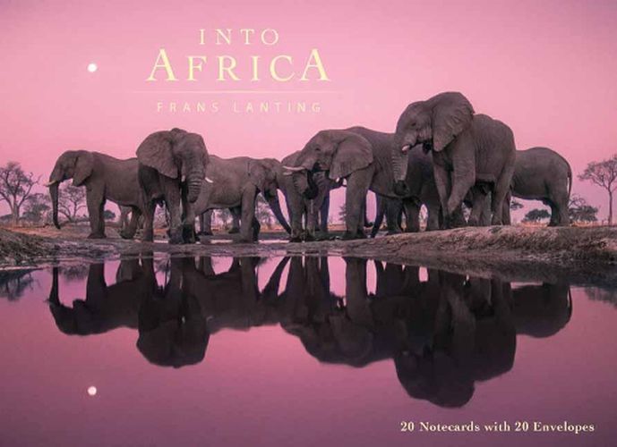 Cover image for Into Africa: Blank Boxed Notecards