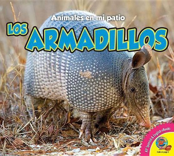 Cover image for Los Armadillos