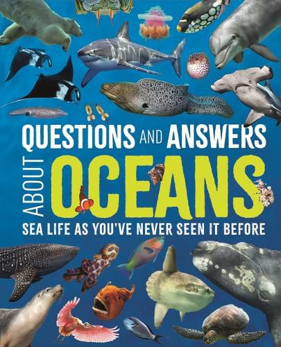 Cover image for Questions and Answers about Oceans