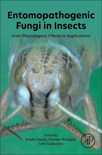 Cover image for Entomopathogenic Fungi in Insects