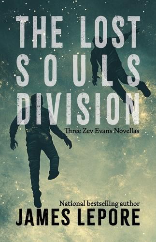 Cover image for The Lost Souls Division