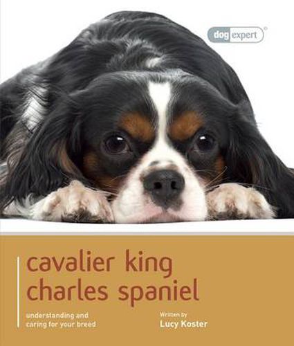 Cover image for Cavalier King Charles Spaniel - Dog Expert