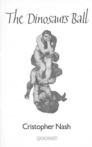 Cover image for Dinosaur's Ball