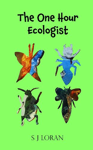 Cover image for The One Hour Ecologist