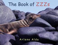 Cover image for The Book of ZZZs