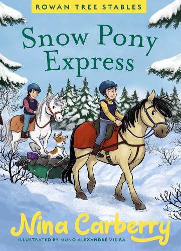 Cover image for Rowan Tree Stables 3 - Snow Pony Express