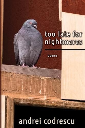 Cover image for Too Late for Nightmares: Poems