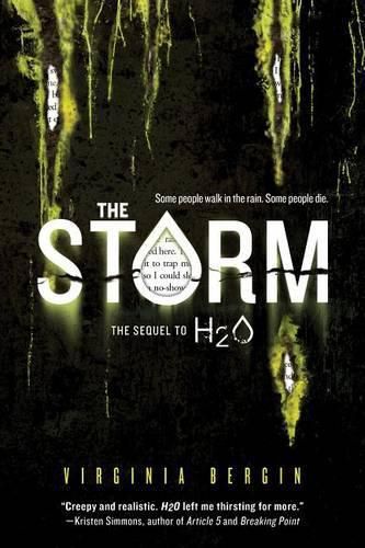 Cover image for The Storm