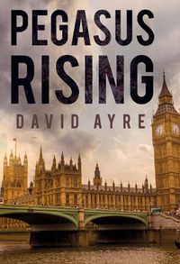 Cover image for Pegasus Rising