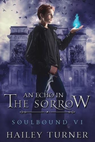 Cover image for An Echo in the Sorrow