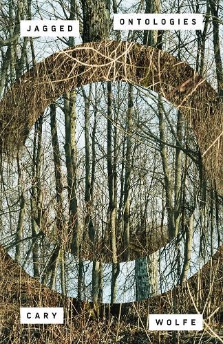 Cover image for Jagged Ontologies Volume 81