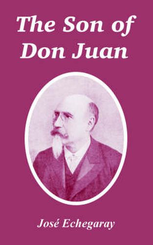 Cover image for The Son of Don Juan