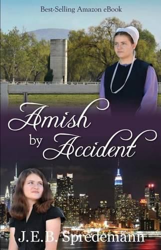 Cover image for Amish by Accident