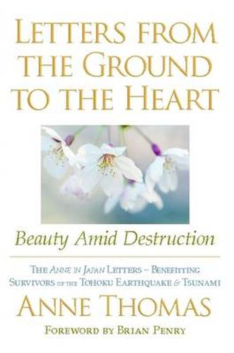 Cover image for Letters from the Ground to the Heart