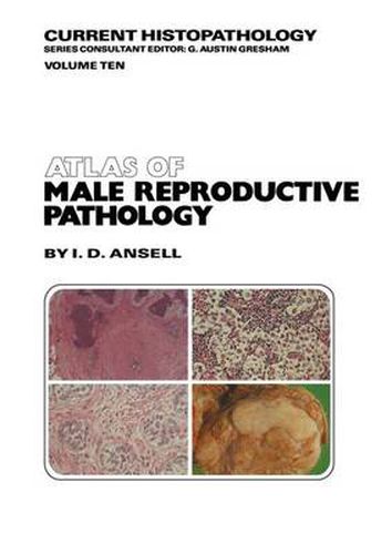 Cover image for Atlas of Male Reproductive Pathology