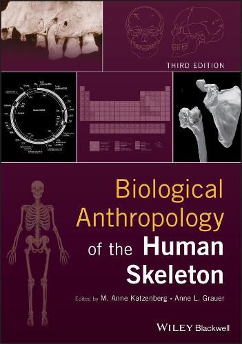 Cover image for Biological Anthropology of the Human Skeleton, Third Edition