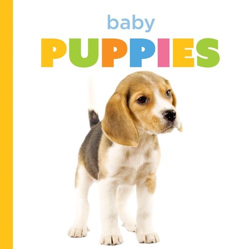 Cover image for Baby Puppies