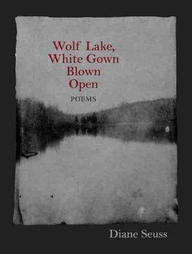 Cover image for Wolf Lake, White Gown Blown Open: Poems