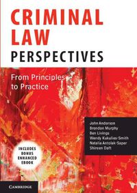 Cover image for Criminal Law Perspectives: From Principles to Practice