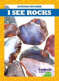 Cover image for I See Rocks